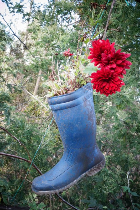 rubberboot flower site